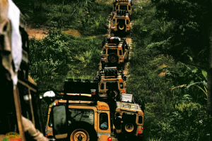 1985 - Borneo