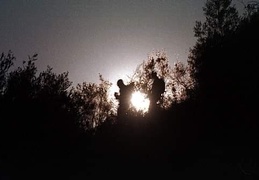 004