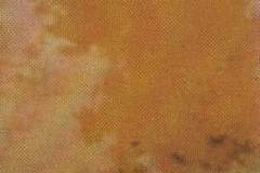 CTPB_CT80_010