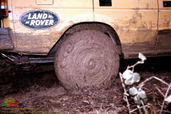 029