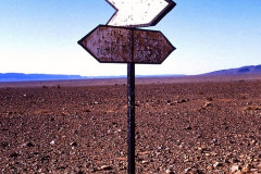 101