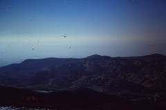 274