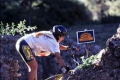 228