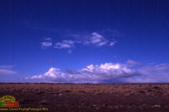 file0739