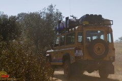 imgl1446