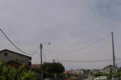 NLF_022