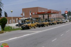 NLF_035