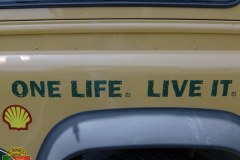 NLF_038