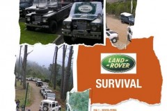 survival2011_001