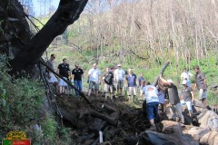 survival2011_004