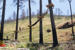 survival2011_005