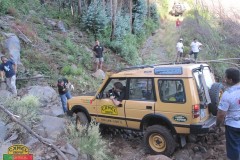 survival2011_008