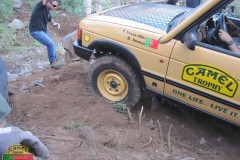 survival2011_010